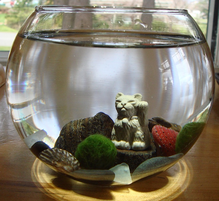 marimo_terrarium