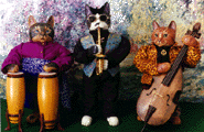 jazz cat trio dolls