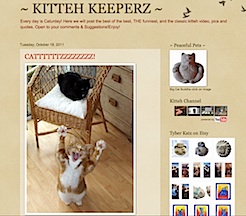 Kitteh_keeperz