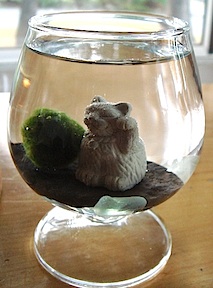 marimo_maneki_neko