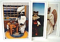 cat cards